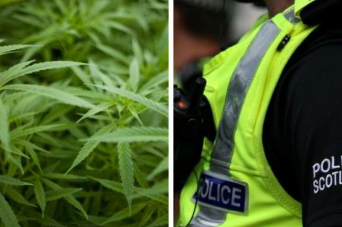 Police seize nearly 1m of drugs in North Lanarkshire