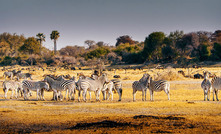 Botala Energy is on track to become a key gas supplier to southern Africa.