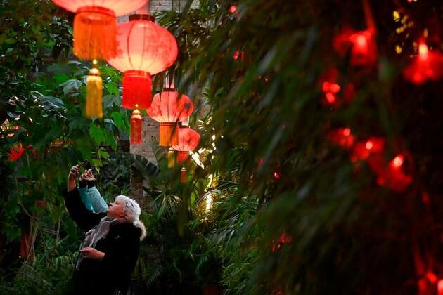 Feature: Chinese Spring Festival gains traction in Russian universities