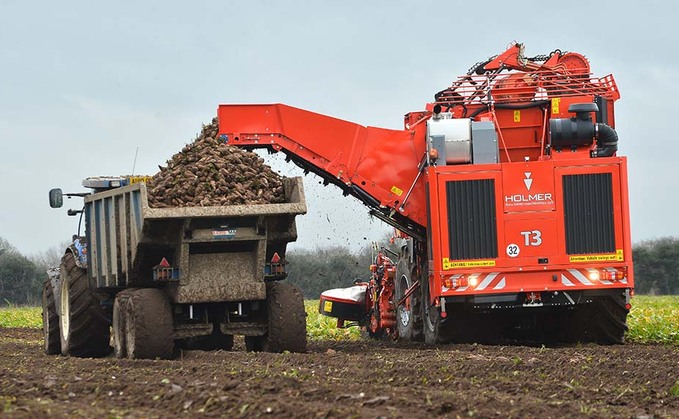 Sugars good but root weights 'a little low' as beet campaign kicks off in Suffolk