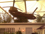 B&Q garden scoops Chelsea award