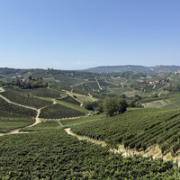 ITALY-WINE EXPORT-U.S. TARIFFS