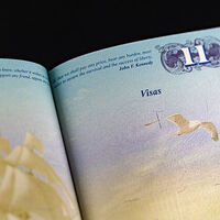 US begins sweeping check of all valid visa holders