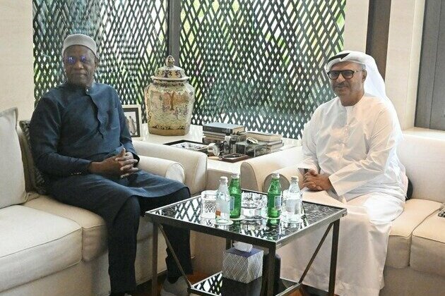 Gargash meets UN Envoy for Libya