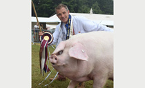 Royal Cornwall Show preview: Preserving Cornwall's native pig