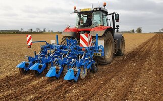 Going minimal with maize – the Carre Inro strip till cultivator