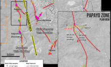  Vizsla Resources has found more high-grade silver along the prospective Napoleon Vein Corridor at Panuco in Mexico
