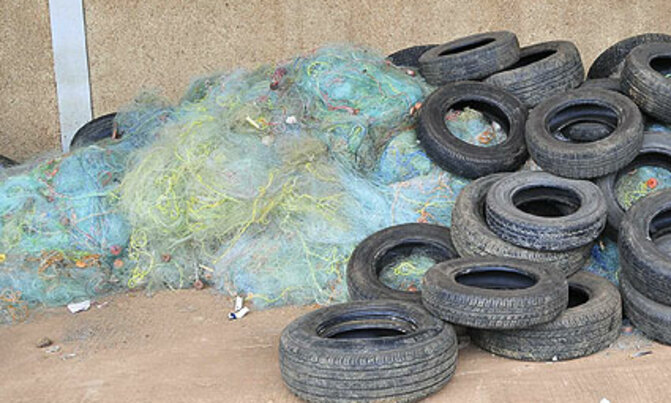 Tax bodies could curb illegal fishing Tax bodies could curb illegal fishing
