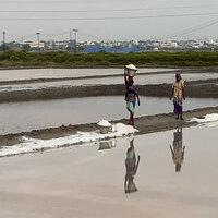 Tamil Nadu: Coastal areas of Thoothukudi District witness degradation, affecting overall coastal life