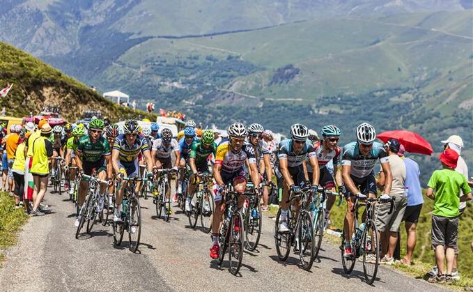 Diseased cows cause Tour de France route to be changed