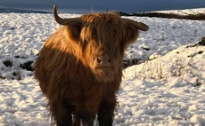 Nature reserve confirms case of bluetongue