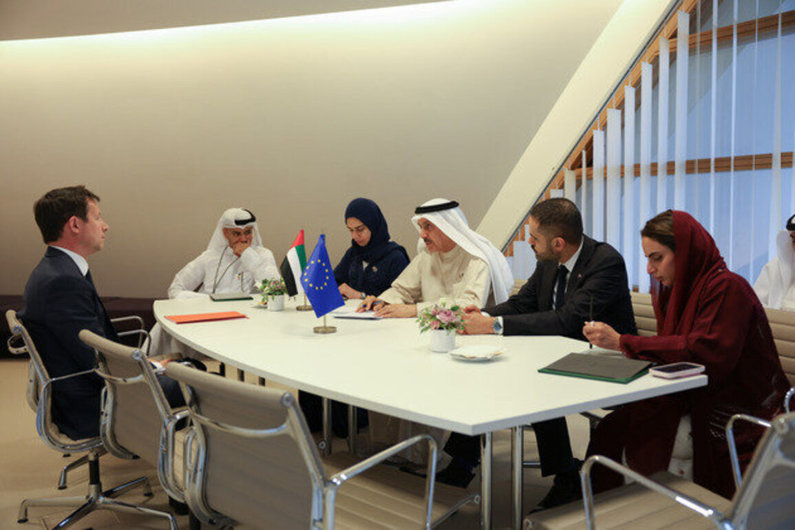 FNC Speaker meets European Parliament official to enhance UAE-European security, development ties