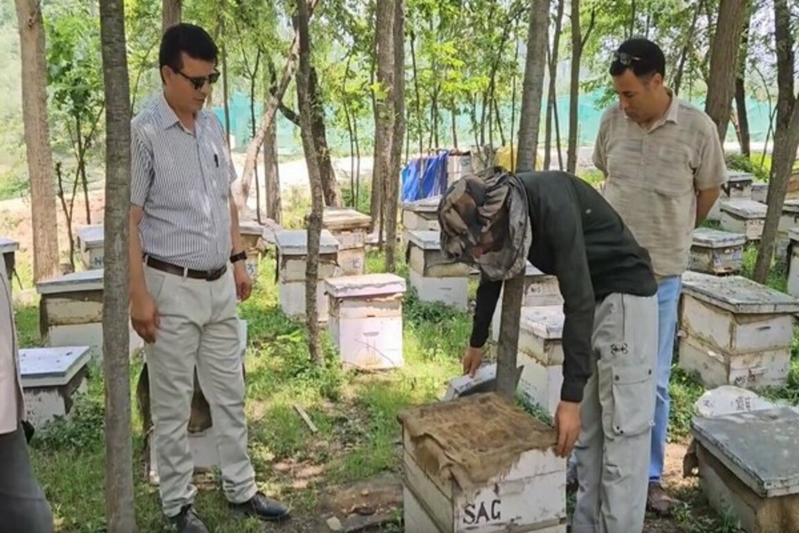 J-K: HADP boosts honey production in Anantnag district, empowers local beekeepers