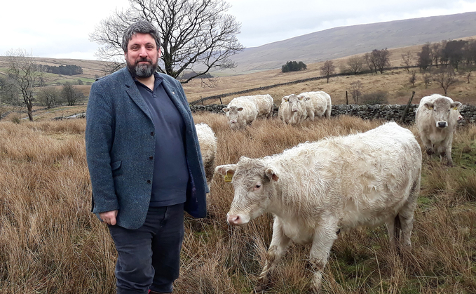 Letters: "Chris Packham's blaming of sheep for Dartmoor's environmental degradation is an oversimplification"