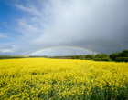 Green Investment Bank could lead to low carbon revolution   