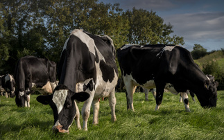 January 13: Farming in Five: Efra committee inquiry on animal and plant health follow confirmed case of foot and mouth disease in Germany 