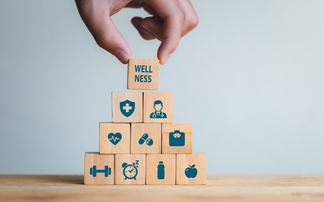 Canada Life launches online wellbeing portal for members post-buyout