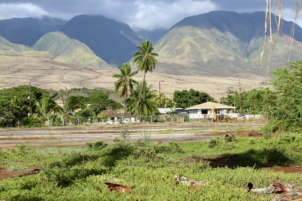 Maui Takes 1st Steps Toward Restoring Historic Royal Site In Lahaina - Honolulu Civil Beat