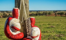 Former leader of The Nationals WA, Mia Davies, will fight for a federal seat in the next election. Credit: Shutterstock AI Generator. 