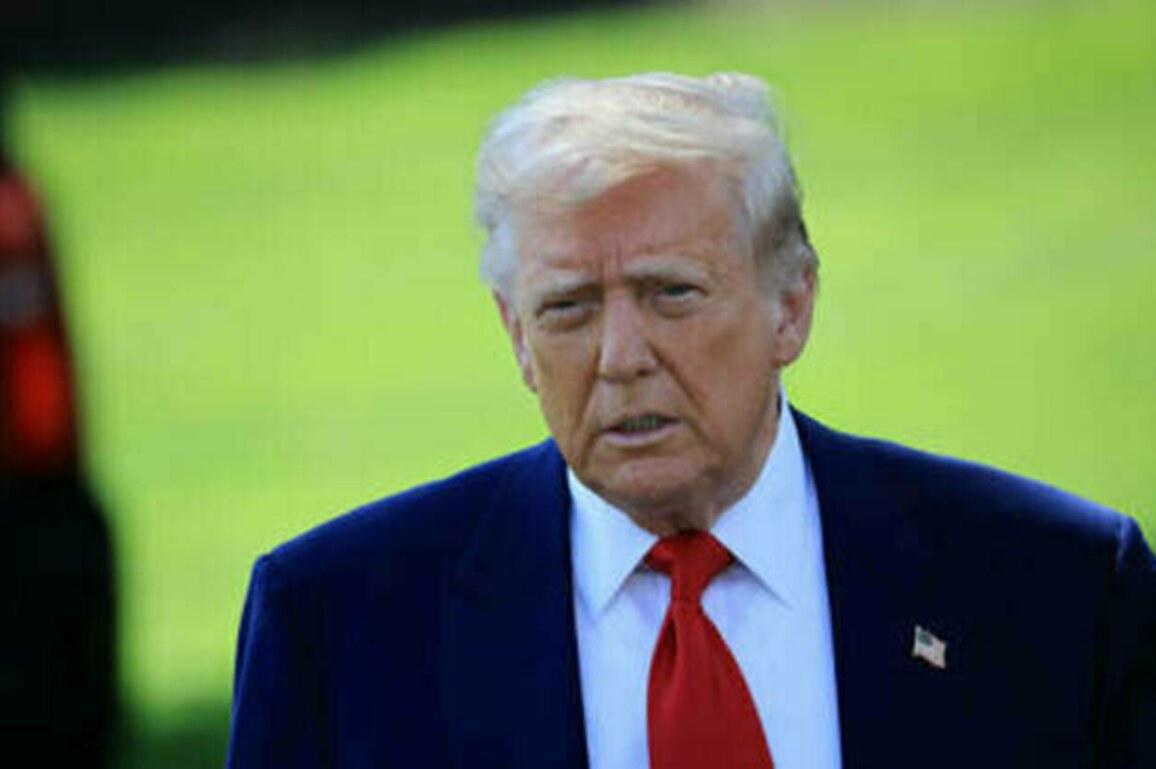 Trump could take part in Russia-Ukraine talks
