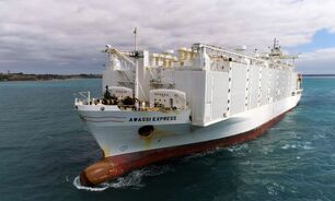 The tipping point for the modern phase of decline of the live sheep export trade arguably began following an incident on the Awassi Express. But who is to blame?