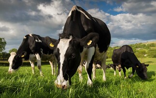 Food and farming industries unite in call for water rule rethink