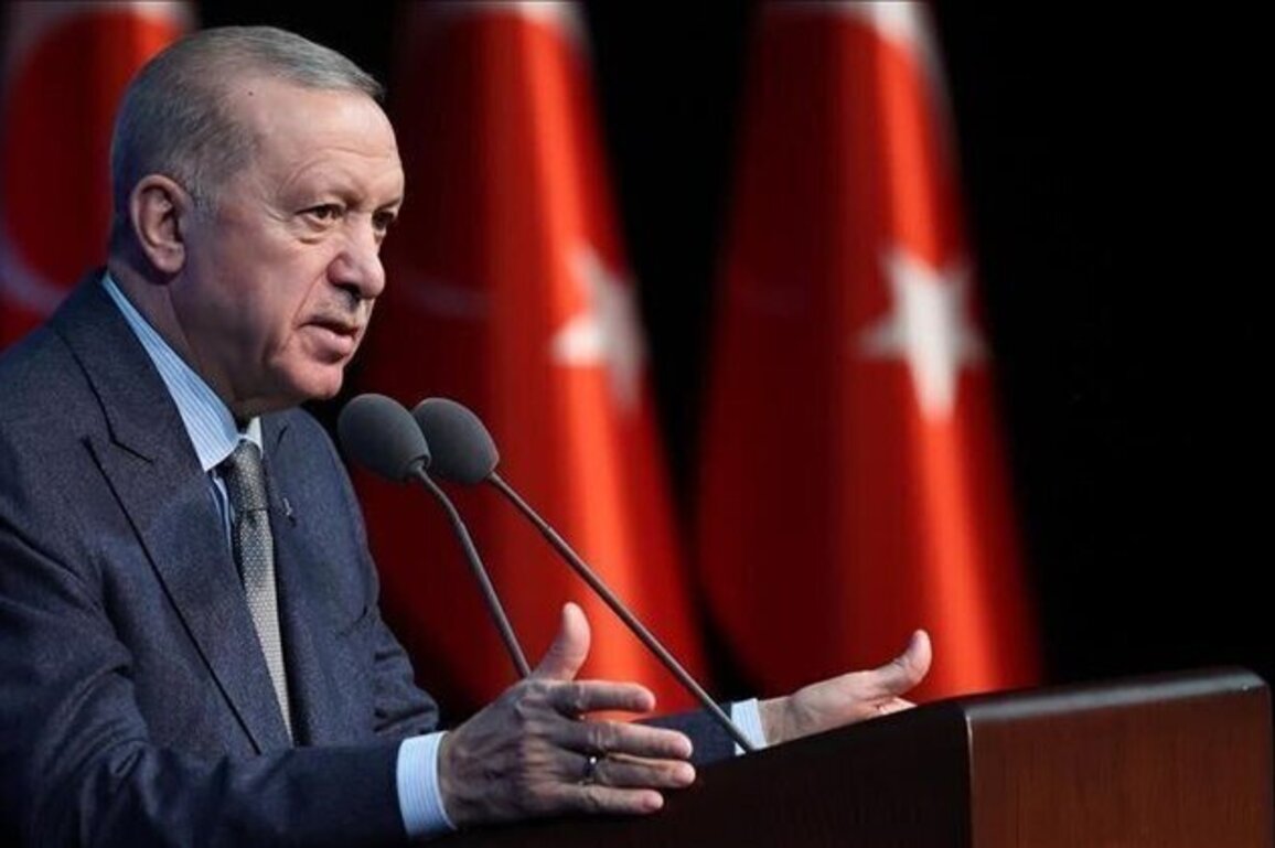 Erdogan says Israels actions are biggest obstacle to Syria stability