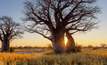 The Kalahari Copper Belt (KCB) extends for over 1000 km between Botswana and Namibia. Photo: Hannes Thirion / Shutterstock