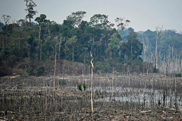 The Amazon is on fire ? here are 5 things you need to know