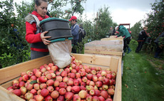 Retailers urged to back British growers as food import bill hits £10 billion