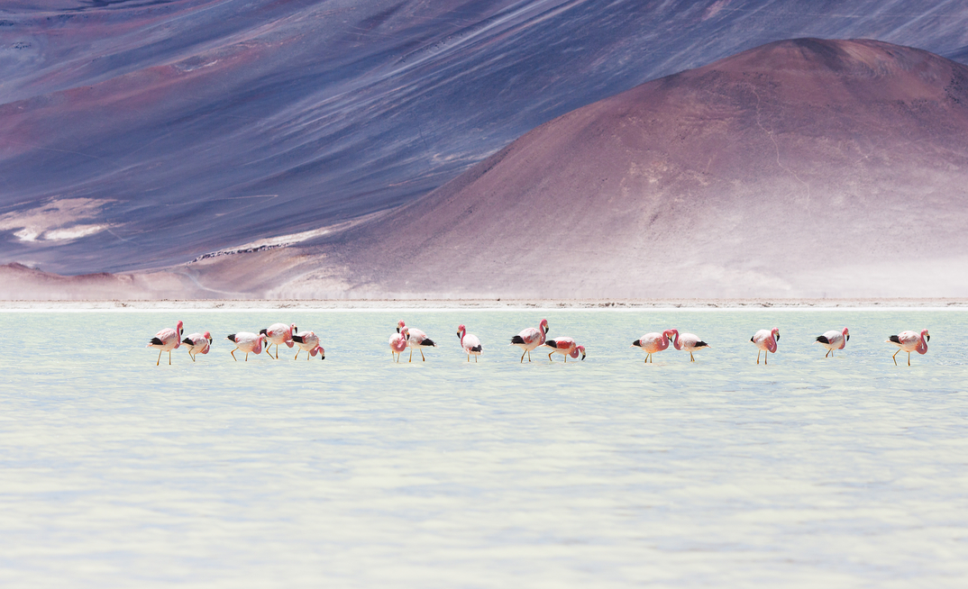 Chile's salars, particularly in Atacama, are known to be some of the most lithium-rich sites on the planet.