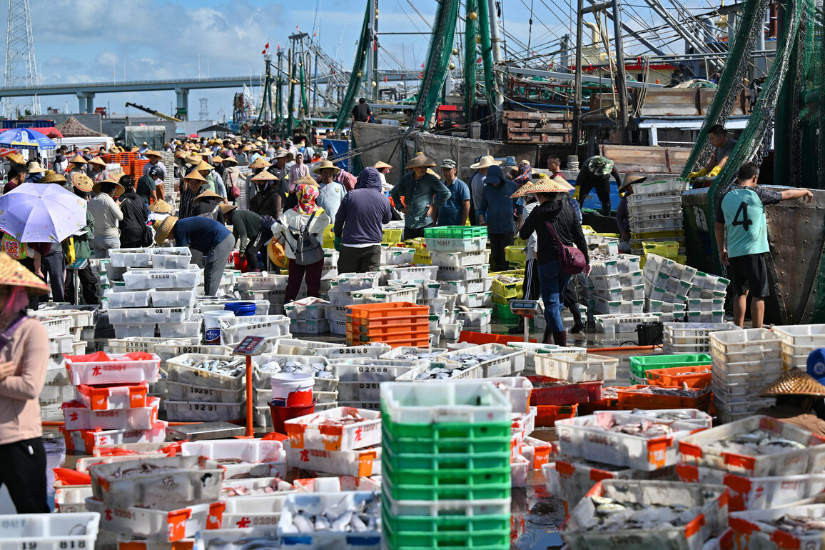 CHINA-HAINAN-WENCHANG-FISHING-RESUMPTION (CN)