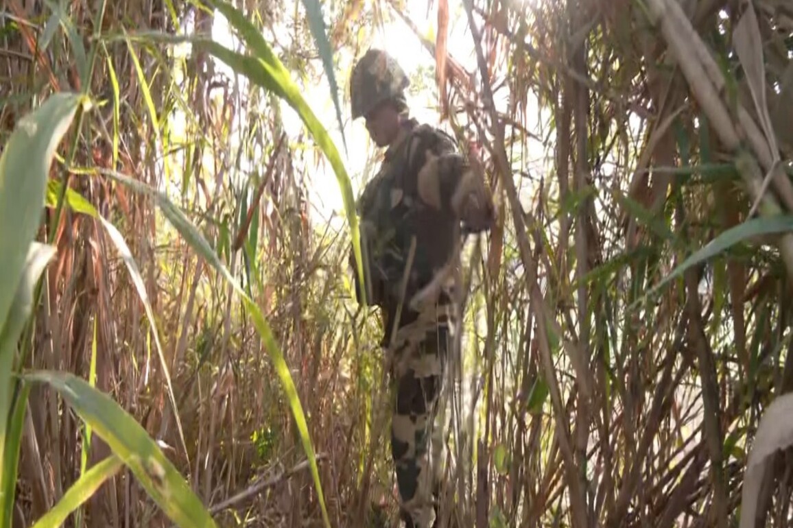 J-K: Security forces launch search operation after arms consignment recovered in Samba