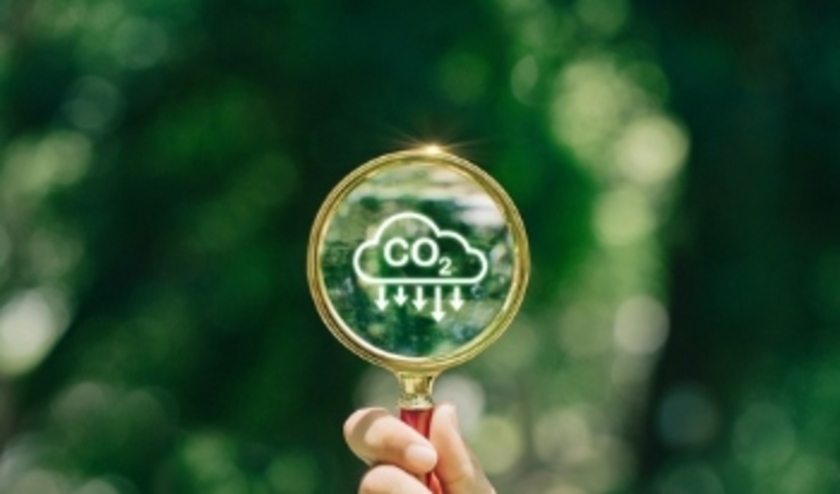 (C) chayanuphol / Shutterstock.com.