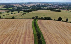 Leader: Farming's tribes are bonded by more than meets the eye