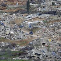 Letter from Mideast: What have Lebanon's Arabian horses done wrong?