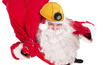 Santa rally continues in iron ore