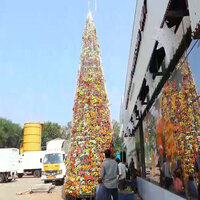 Kerala: 30-foot-tall eco-friendly Christmas tree made of 2,800 plants set up in Malappuram