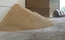 Keeping an eye on the grain market - October 8 update