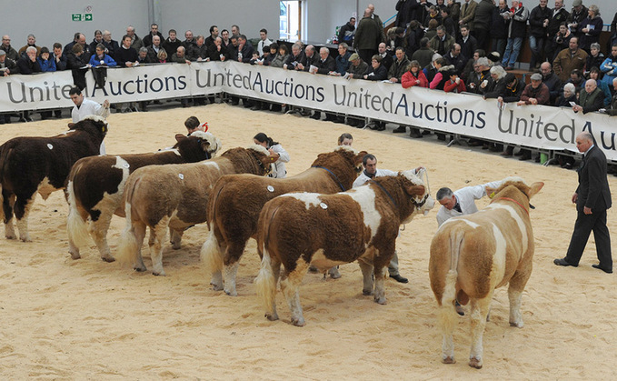 Stirling bull sales postponed