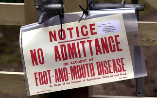 2001 UK foot-and-mouth outbreak - 25 years on: "The countryside should never be shut down again"