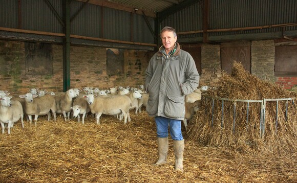 Sheep special: EasyCare sheep add value to mixed farming business