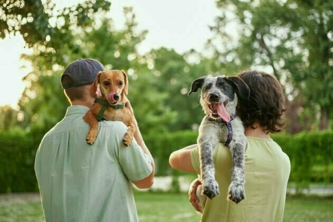 Do people really resemble their dogs?