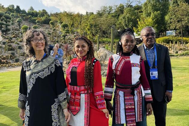 China through the eyes of African media professionals