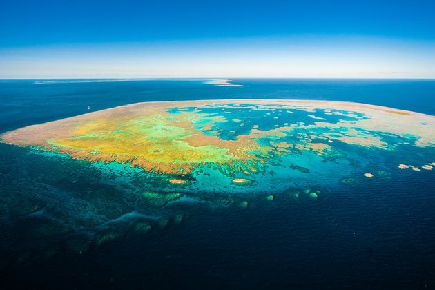 The Great Barrier Reef is in trouble. There are a whopping 45 reasons why