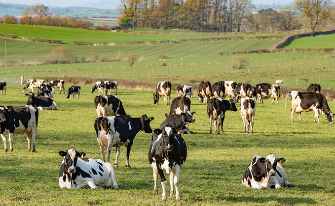 Inflation gap widens for grains and dairy