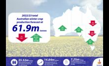  Rabobank's latest crop forecast says almost 62 million tonnes of grain will be produced nationally. Image courtesy Rabobank.