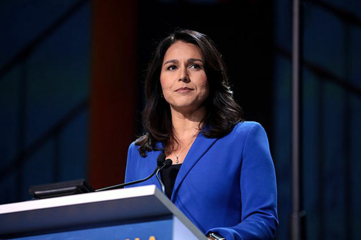Gabbard calls for probe into 2016 election intelligence leak claims