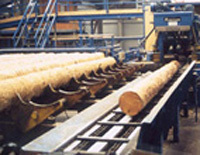 Site for saw eyes