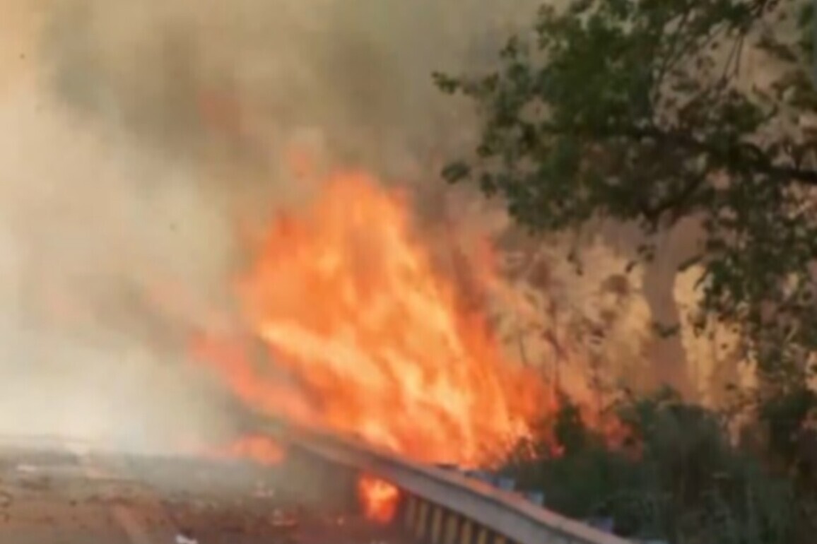 Delhi: Fire in bushes near Rajghat Bus Depot, no casualties reported